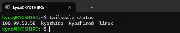tailscale -- status command