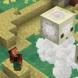 WeedHack cible les joueurs Minecraft avec de faux mods